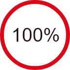 100 Prozent